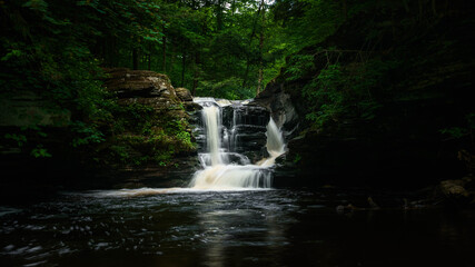 waterfall in the forest