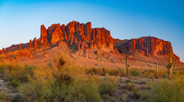 Saguaro Cactus and the Superstition Mountains © Larry