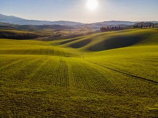 Details of a colorful countryside landscape in Tuscany. 