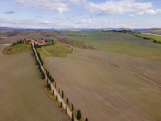 Road in the countryside. Cypress tree row in Tuscany. Drone view, aerial shot.