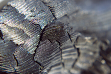 Grey burnt wooden textured background with close up. Fired log texture.