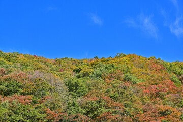 Fototapeta na wymiar 遊歩道から見た青空バックの抱返り渓谷の紅葉情景＠秋田