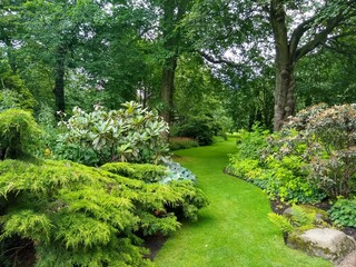 path in the green garden