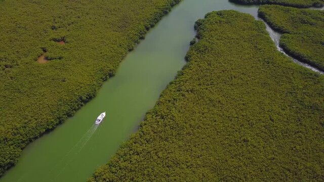 YATCH AND MANGROVE