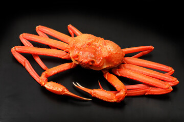 黒い背景の上の北海道産紅ずわい蟹　Snow crab on black background