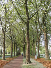 naturaleza en otoño