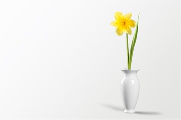 Daffodils.