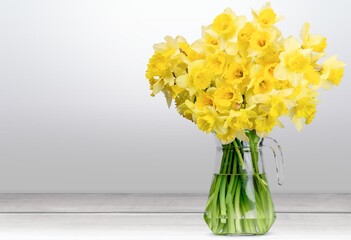 Daffodils.