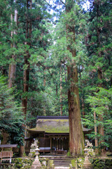 Fototapeta premium 龍穴神社