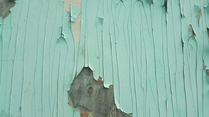 vintage wood background texture structure backdrop