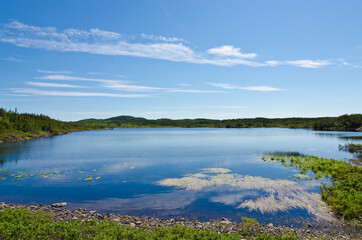 The shore of Newfoundland