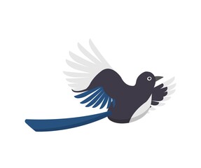 Magpie isolated on white background, bird cartoon comic vector illustration icon