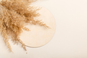 flat-lay of pampas-grass reeds and wooden circle on beige background. Natural mock-up. Eco-friendly concept. Empty place for presentation natural products with Copy space