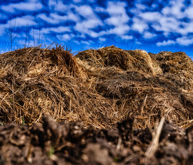 Misthaufen mit blauem Himmel