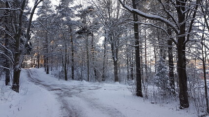 Naklejka premium Winter