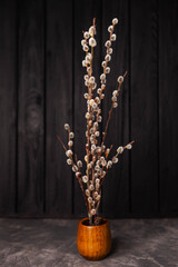 Beautiful home decor in spring, copy space. Fresh fluffy willow twigs in vase. Vase with willow branches on dark background. Natural rustic morning. Classic still life of low-key lighting, minimal art