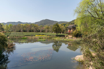 Fototapeta na wymiar Hangzhou West Lake Longjing Tea Garden with lake in foreground