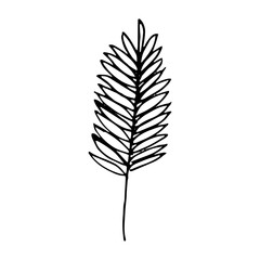 spike icon. hand drawn doodle style. vector, minimalism, monochrome, sketch. grain, harvest.