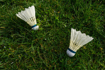 badminton shuttlecock on grass