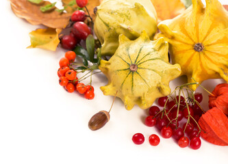 Autumn decoration arranged with dry leaves, pumpkins and more, isolated on white, wide format