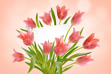Bouquet of realistic tulips with greeting card on pink background. Paper card in bright beautiful bouquet of tulips flowers and leaves. Postcard with space for text. Vector illustration
