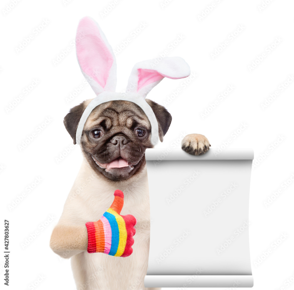 Poster Pug puppy wearing easter rabbits ears shows thumbs up gesture and empty list. Isolated on white background