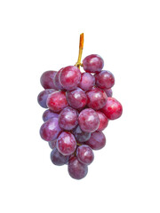 isolated bunch of red grapes by closeup textue with clipping path on white background a nutrition organic fruit for healthy food dessert and juice or wine ingredient