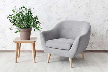 Cozy armchair and table with houseplant near light wall in room