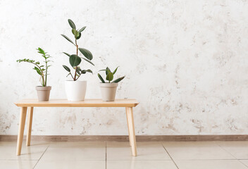 Table with different houseplants near light wall in room