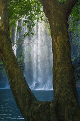 waterfall framed by two branches of a tree and a natural pool in a wooded area in the dry tropics