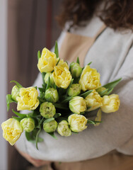 Woman holding beautiful blossoming mono bouquet of fresh tulips flowers. Beautiful flowers.