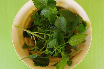 Nettle leaves, spontaneous perennial plant used to detoxify and treat anemia