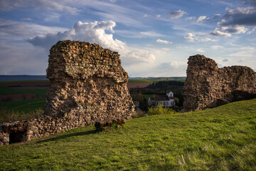 Burgruine Neu-Bolanden im April 2021