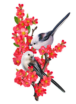 Spring festive background, two little birds are sitting on a branch of blooming red quince, 3d rendering