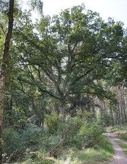 Rund um den Schweriner See / Bad Kleinen