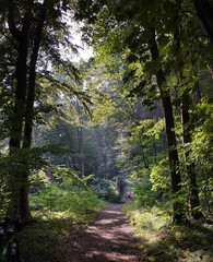 Rund um Schloss Wiligrad