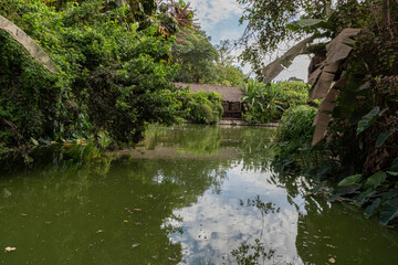 Obraz premium Laguna de aguas verdes con árboles