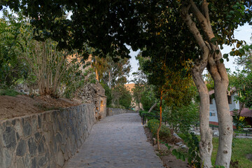 Stone path surrounded by trees