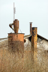 Abandoned plant among the bushes