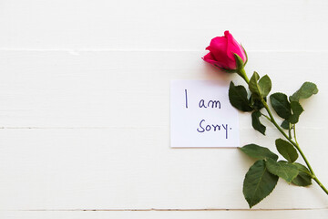 i am sorry message card handwriting with pink rose flowers arrangement flat lay postcard style on background white