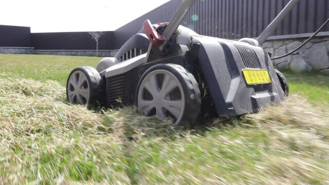 spring aeration of the lawn on a sunny day