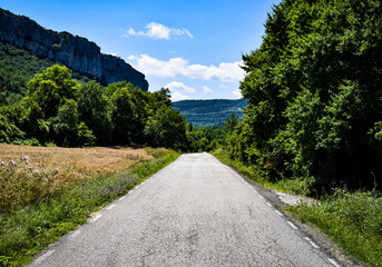 Camino o carretera en el centro de la naturaleza verde