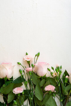 Pink Flowers Overhead View On White Surface, Top View Copy Space