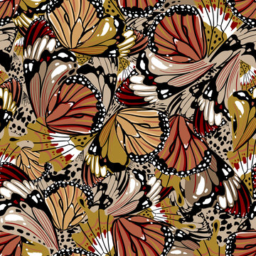 monarch butterfly wing patterns