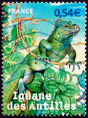 Postage stamp France 2007 Antillean iguana