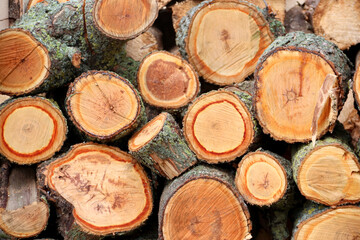 Firewood texture. Pile of dry chopped fire wood background