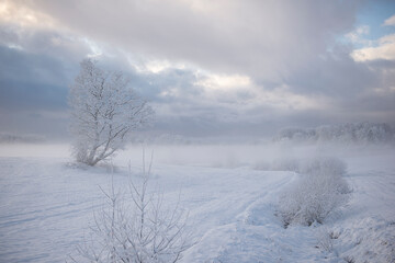 Winter Morning Landscape With Snow Covered Trees,fog And Blue Cloudy Sky