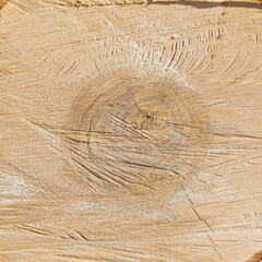 Fototapeta premium sawn wood texture