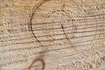 sawn wood texture