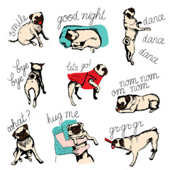 Set of different moods of cute pug: sleep, eat, walk, dance, smile and other. Cartoon character isolated on a white background. For printing kids stickers, cards. Can be used as mascot.